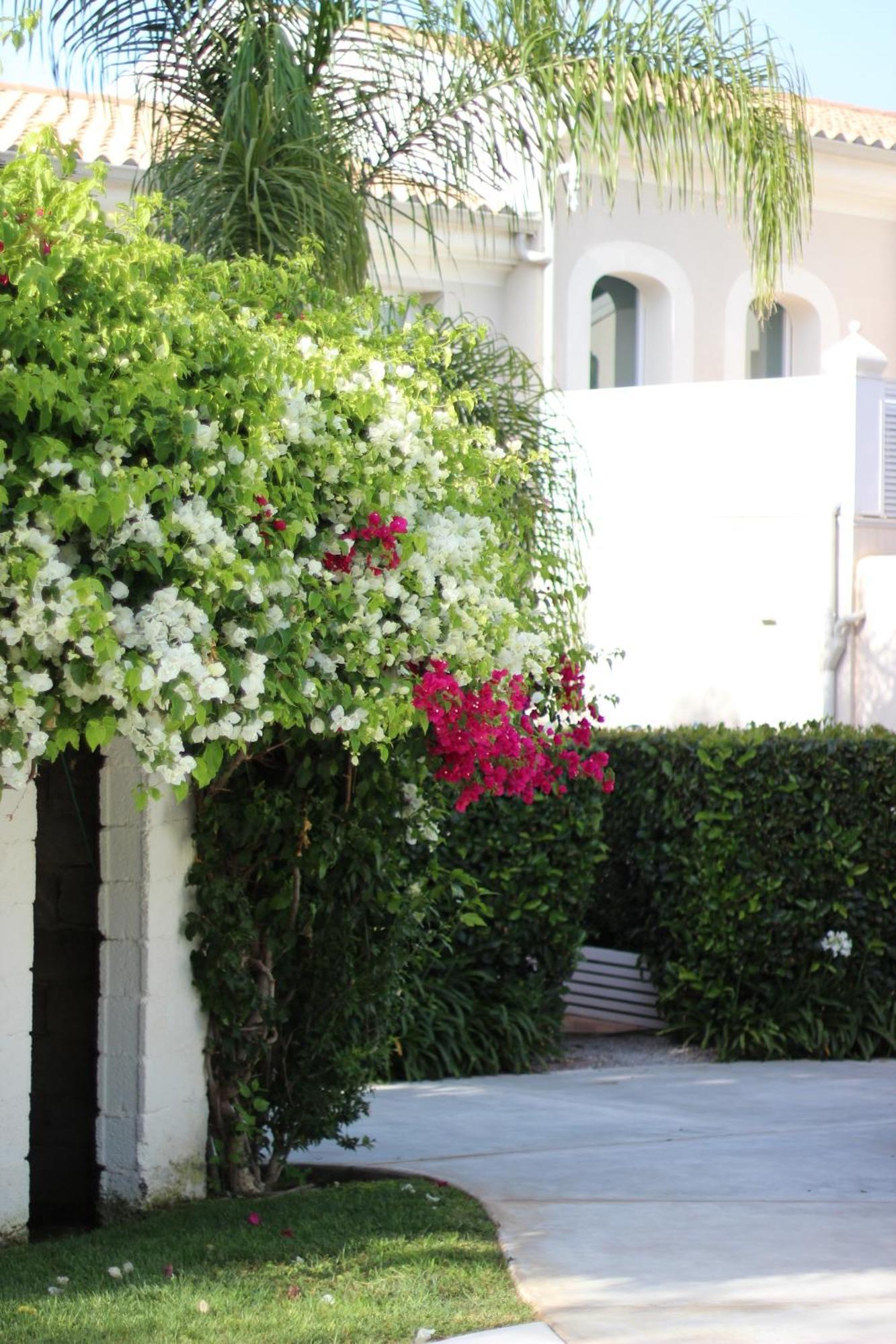 Il Borghetto Resort & Spa Tropea Exterior foto